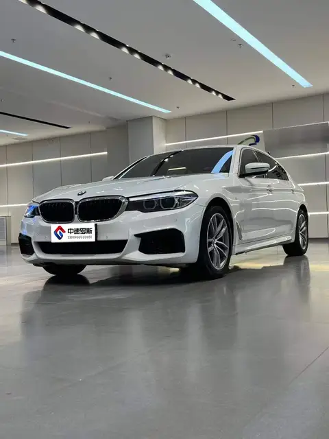 BMW 5 Serie 2020 525Li M Sport Package