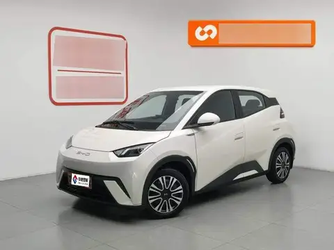 Seagull 2023 Vitality Edition