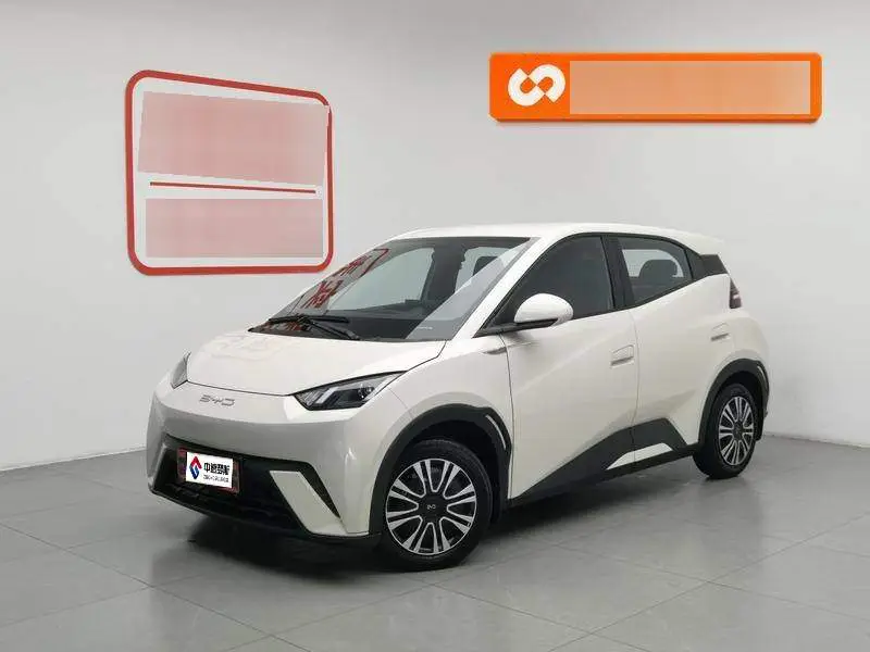 Seagull 2023 Vitality Edition
