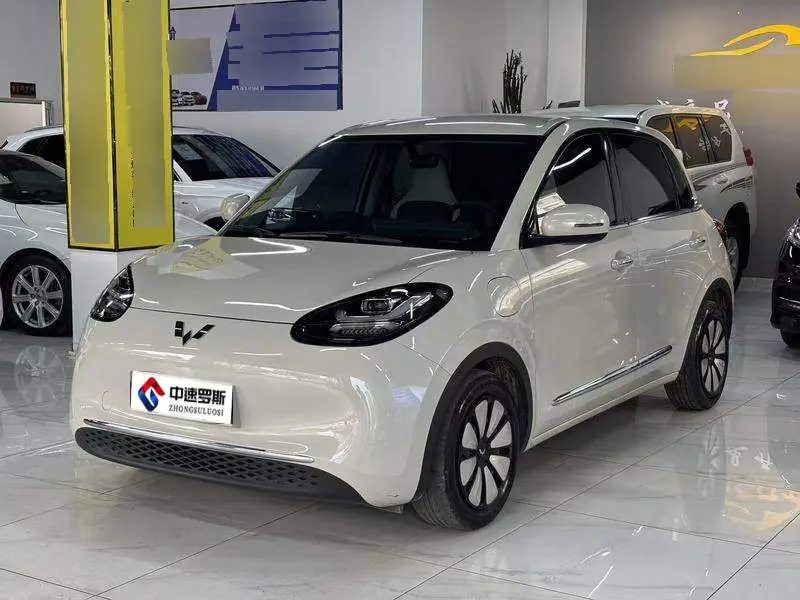 Wuling Bingo 2024 333km Enjoy Edition