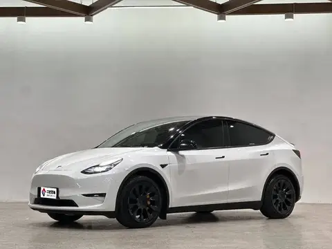 الطراز Y 2021 Long Range All-Wheel نظام الدفع