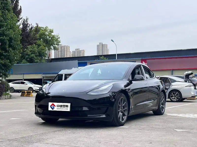Mẫu 3 2021 Standard Range RWD Upgraded 3D6