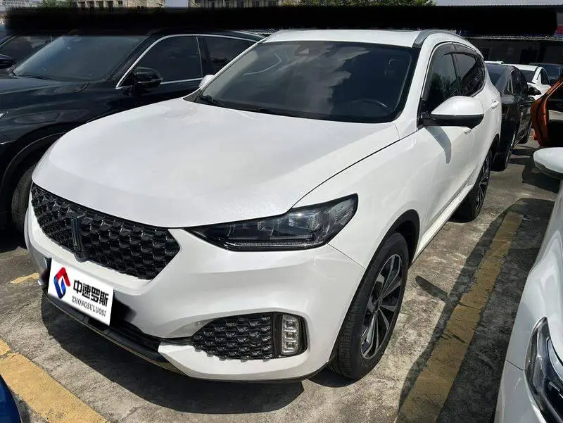 Wei brand VV6 2020 2.0T 4WD Intelligent Driving+