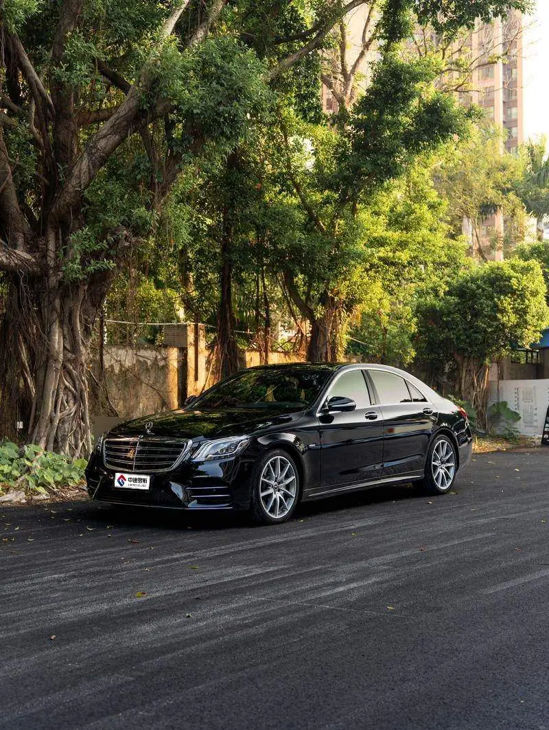 Mercedes-Benz S-Class 2020 S 450 L 4MATIC Collector's Edition