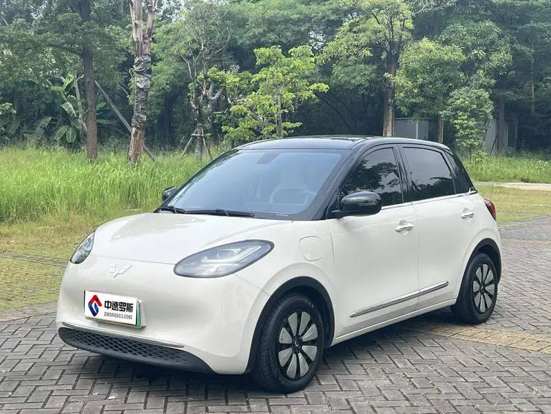Wuling Bingo 2023 410km Lingxi Premium Edition