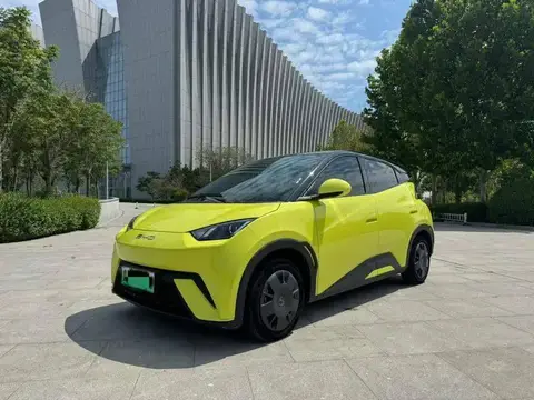 Seagull 2024 Glory Edition 305km Vitality Edition