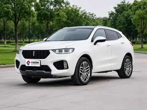 Wei brand VV5 2019 upgraded 2.0T 2WD Super Luxury National VI
