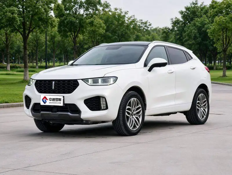 Wei brand VV5 2019 upgraded 2.0T 2WD Super Luxury National VI