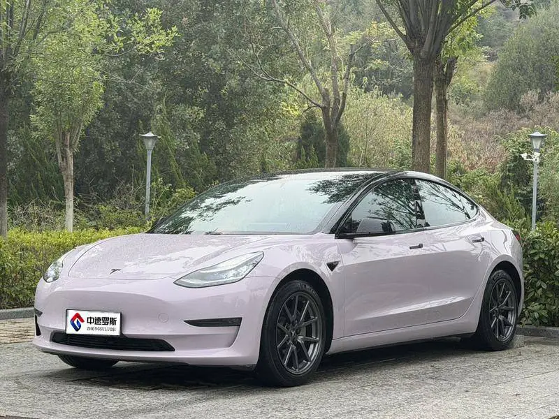 Model 3 2020 facelifted long-range rear-wheel drive version