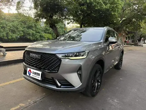 Haval H6 2021 third generation 2.0T automatic four-wheel drive Max