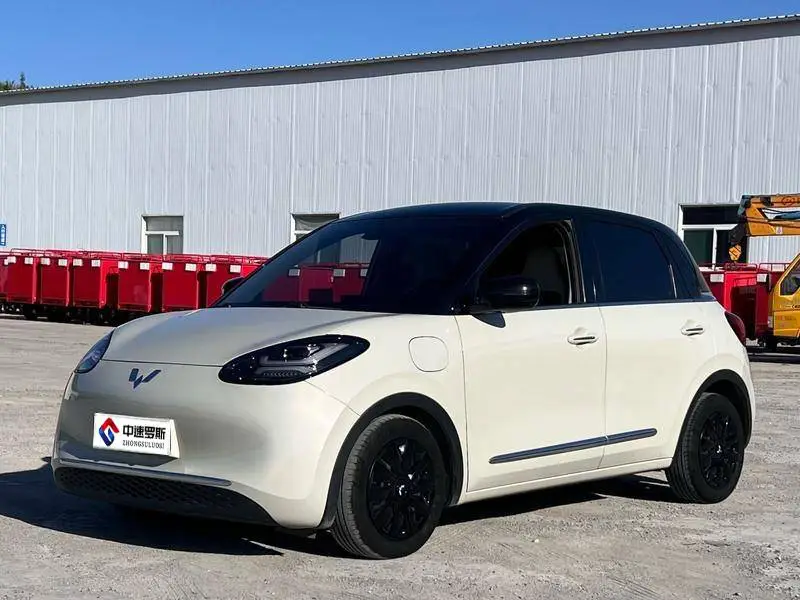 Wuling Bingo 2023 333km Lingxi Internet Model