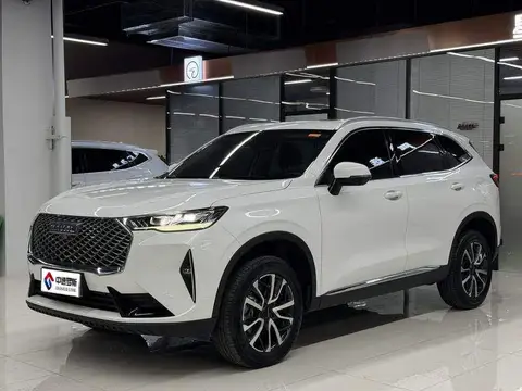 Haval H6 2022 third generation 1.5T automatic two-wheel drive Max