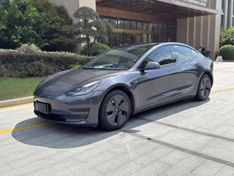 Model 3 2021 Standard Range RWD Upgraded 3D6