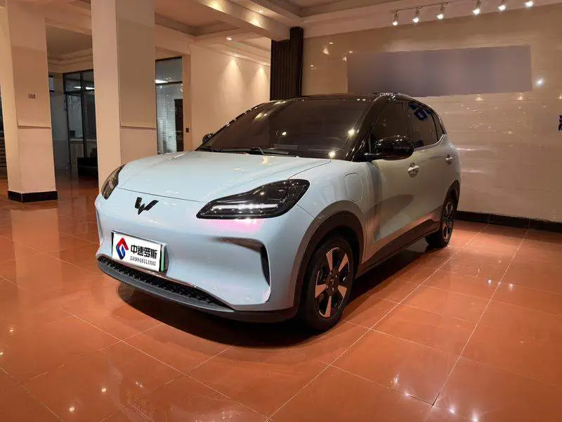 Wuling Bingo PLUS 2024 510km five-seater version