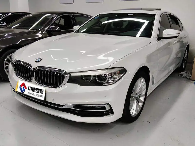 BMW 5 Series 2019 530Li Leading Luxury Package