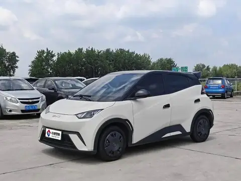 Seagull 2024 Glory Edition 305km Vitality Edition
