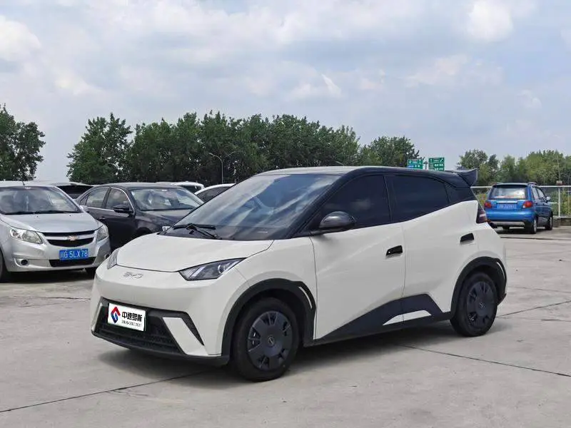 Seagull 2024 Glory Edition 305กม. Vitality Edition
