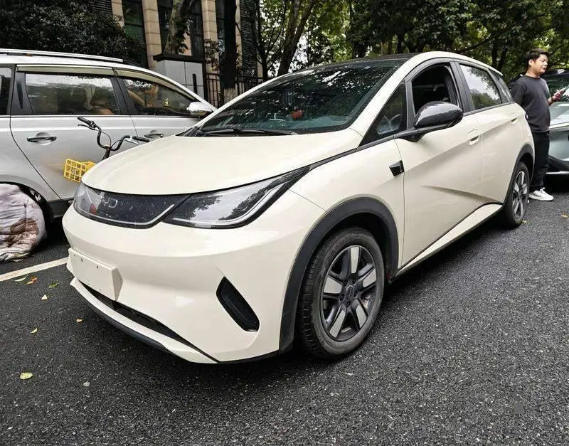 dolphin 2025 Smart Driving Edition 410km Fashion Edition