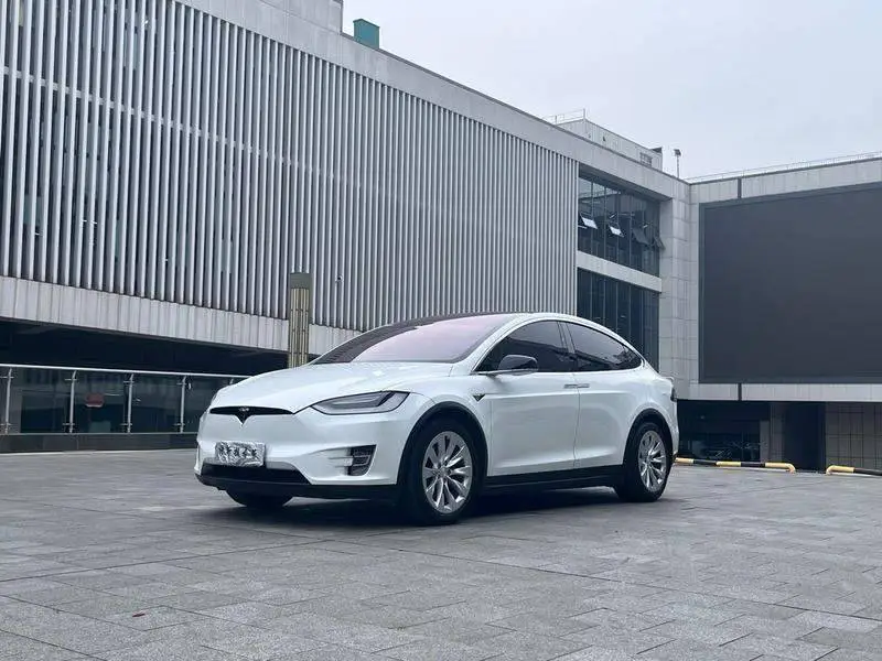 Model X 2019 long-range version