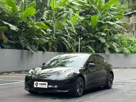 Mẫu 3 2021 Standard Range RWD Upgraded 3D6