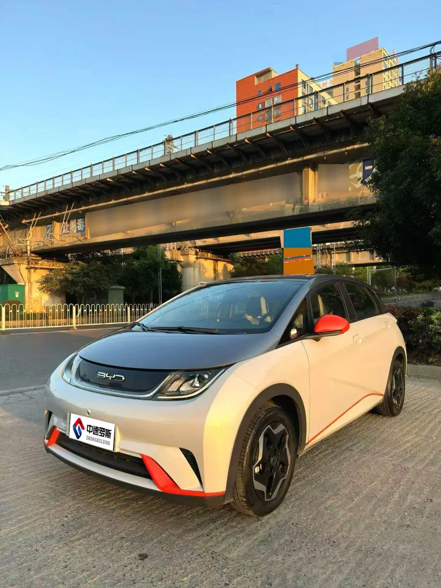 dolphin 2021 405km Freedom Edition