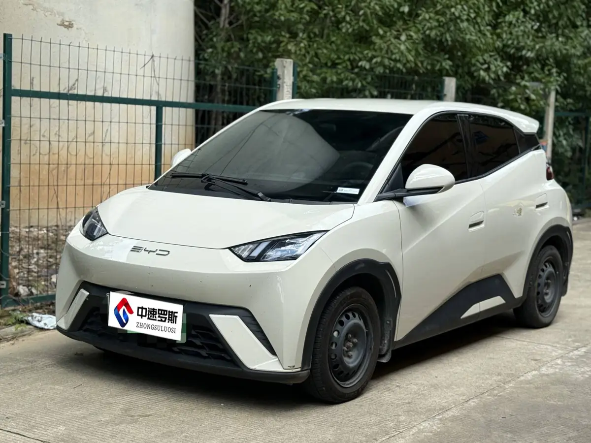 Seagull 2023 Liberty Edition