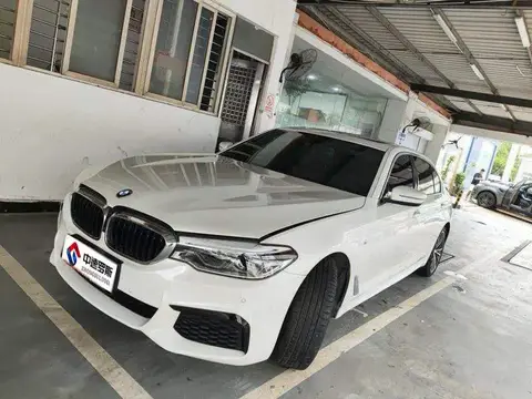 BMW 5 Serie 2020 530Li Premium M Sport Package