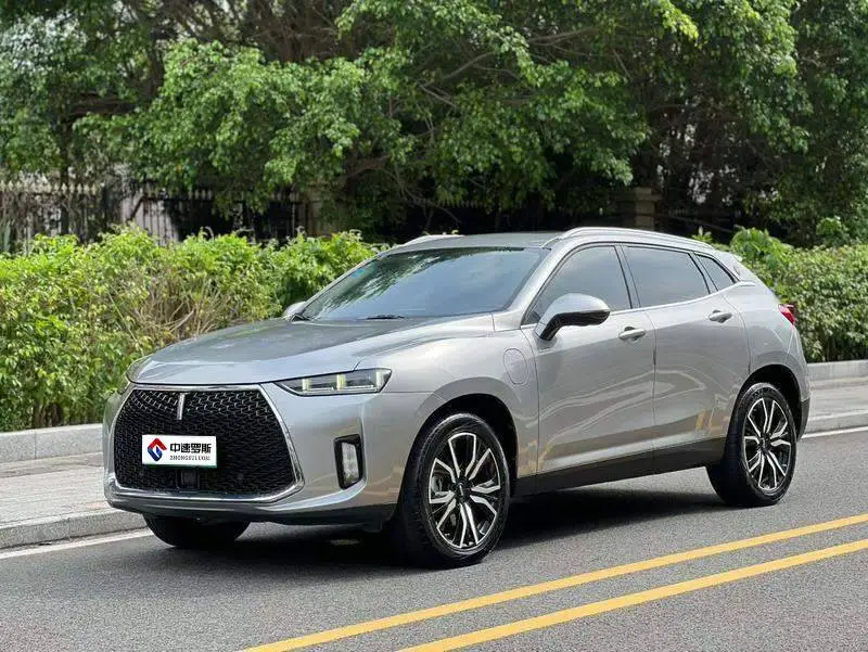 Wei brand P8 2018 2.0T Premium Edition