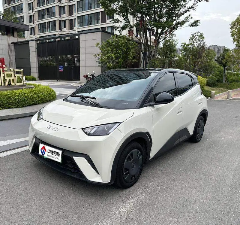 Seagull 2024 Glory Edition 305km Vitality Edition