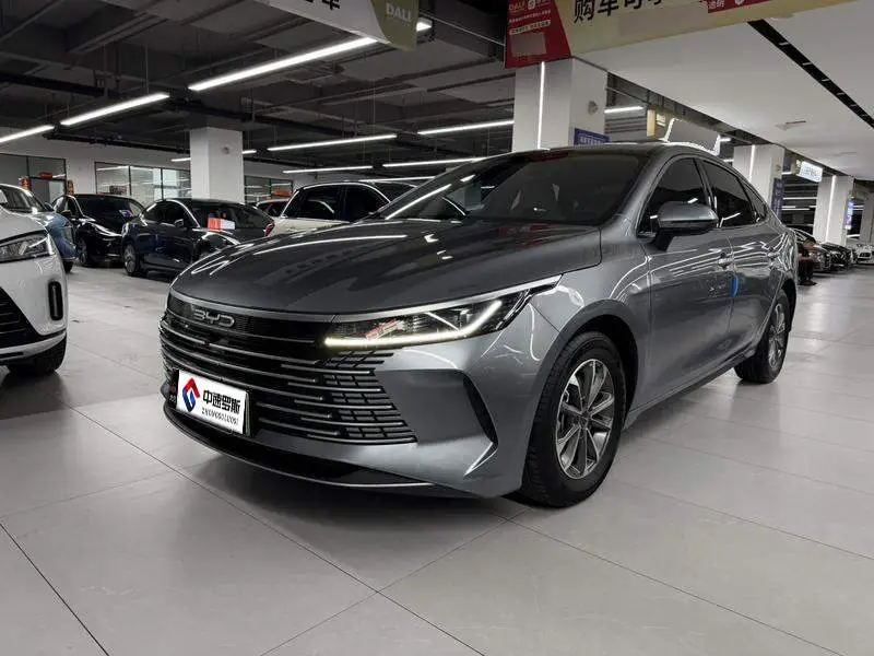 Destroyer 05 2024 Honor Edition DM-i 55KM Luxury