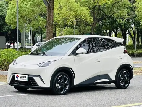 Seagull 2024 Honor Edition 305km Freedom Edition