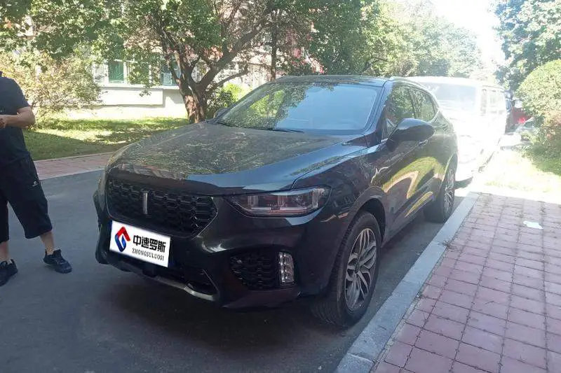 Wei brand VV5 2019 upgraded 2.0T 2WD super luxury model National V