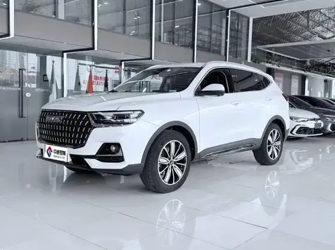 Haval H6 2023 National Trend Edition 1.5T Automatic Champion Edition