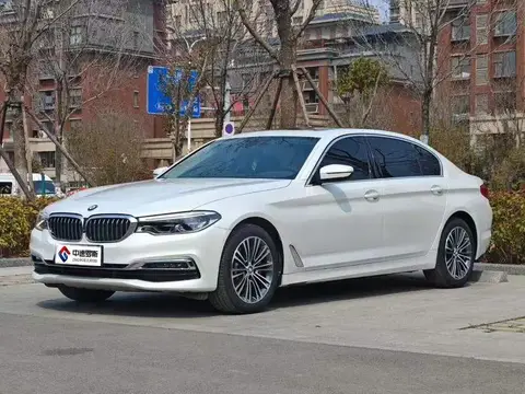 BMW 5 Série 2019 530Li Premium Luxury Package
