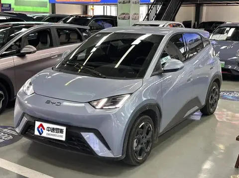 Seagull 2025 405km Flying Edition