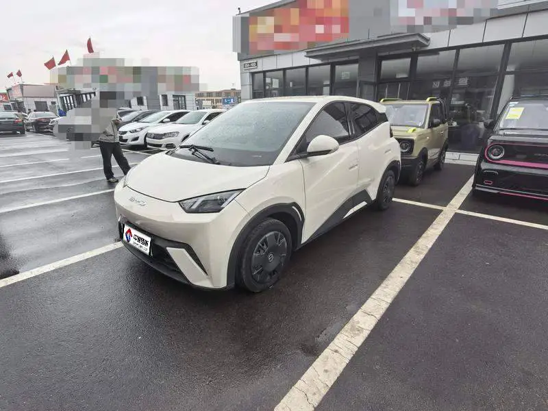 Seagull 2023 Vitality Edition