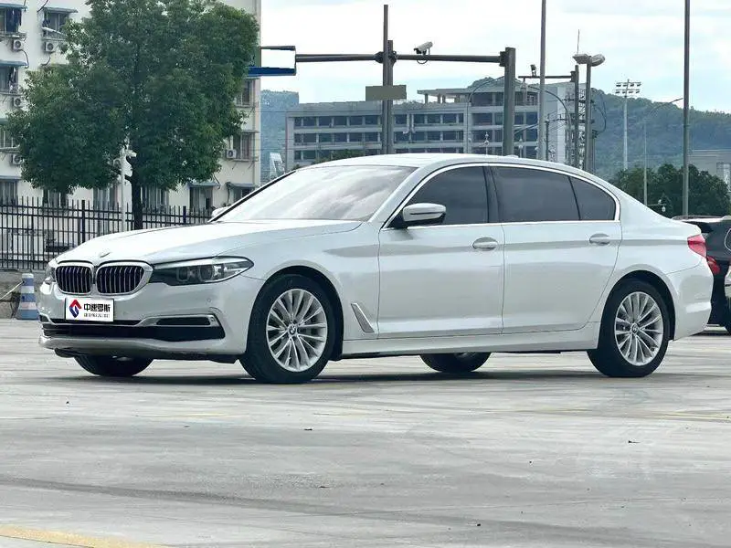 BMW 5 Series 2019 530Li Leading Luxury Package