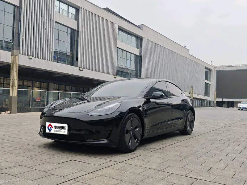 Model 3 2021 Standard Range RWD Upgraded 3D6