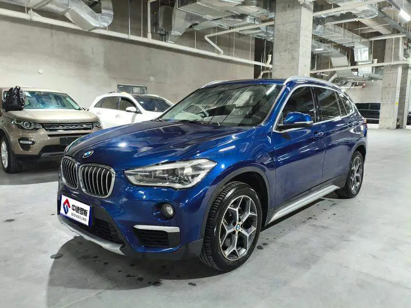 BMW X1 2019 xDrive20Li Premium Edition