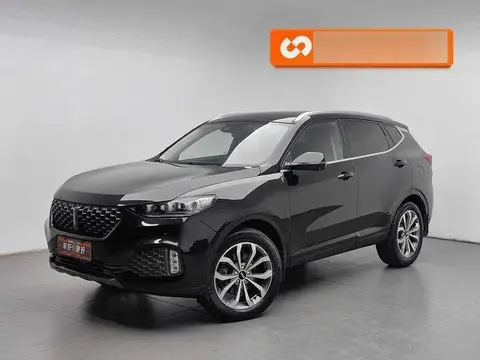 Wei brand VV6 2020 2.0T 2WD Intelligent Protection+