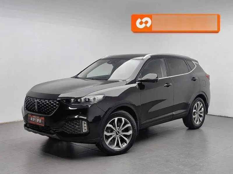 Wei brand VV6 2020 2.0T 2WD Intelligent Protection+