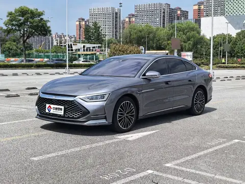 Chinese 2020 DM 4WD Performance Edition Premium