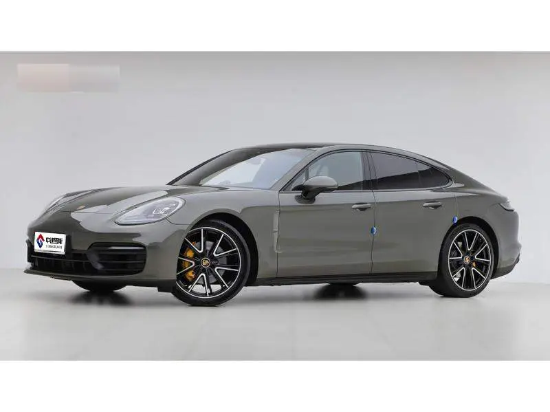 Panamera 2023 Panamera 2.9T Platinum Edition
