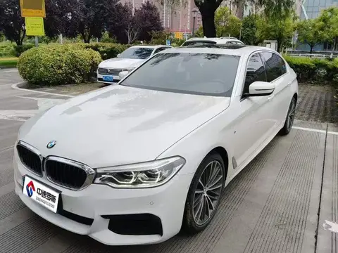 BMW 5 Серия 2020 530Li Leading M Sport Package