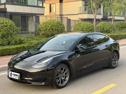 Модель 3 2022 rear-wheel drive version
