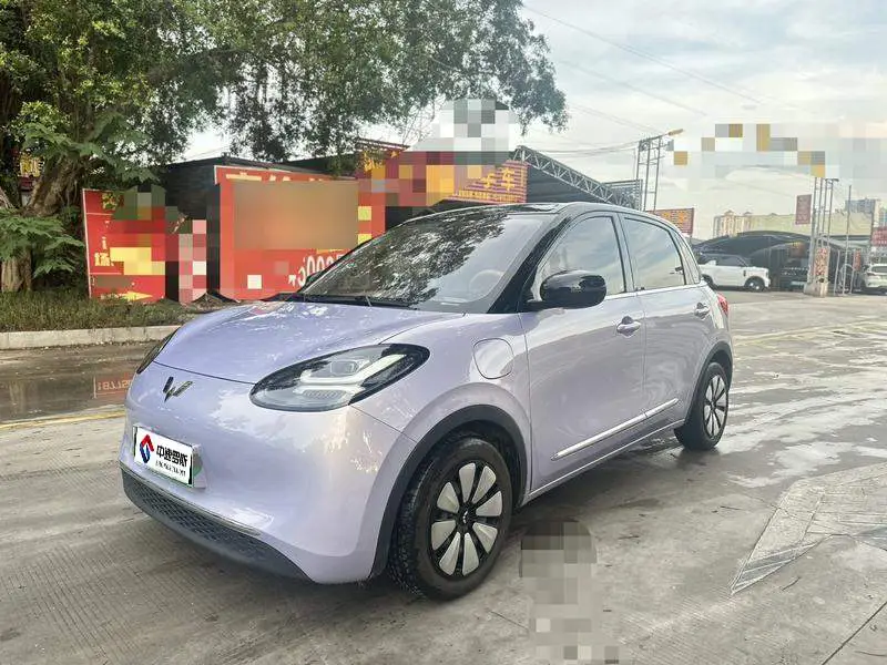 Wuling Bingo 2025 Model 333km Enjoy Edition