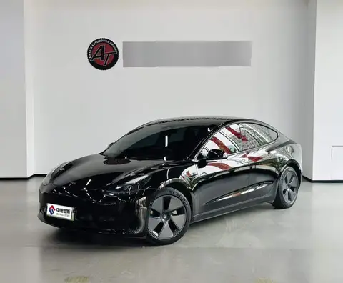 Модель 3 2021 Standard Range RWD Upgraded 3D6