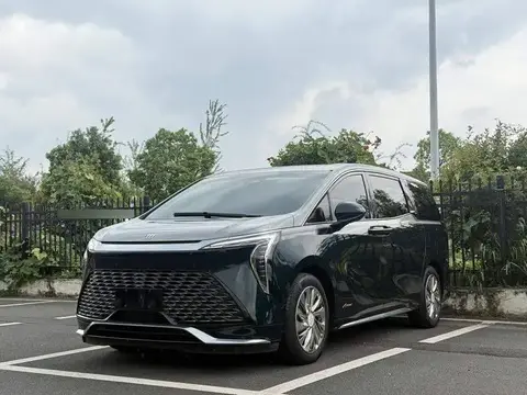 century 2025 2.0T Four-seat Private Edition