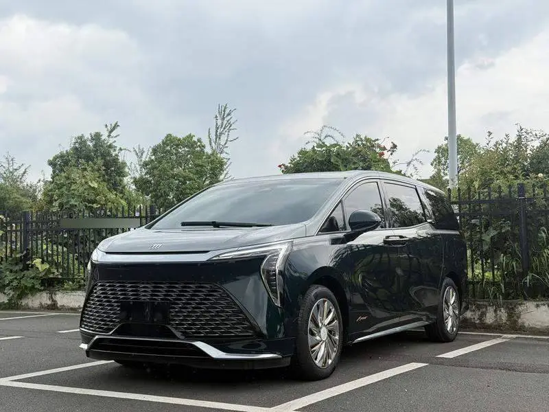 century 2025 2.0T Four-seat Private Edition