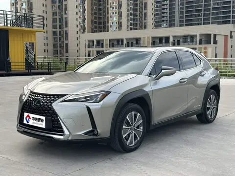 Lexus UX New Energy 2020 300e Pure Enjoyment Edition